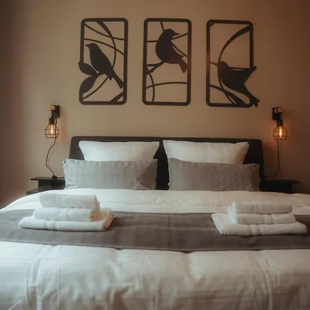 Rich - 2-zimmer-cityapartment - Kingsize - Parkplatz * בילפלד